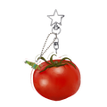 Hungry caterpillar with tomato keychain 🍅